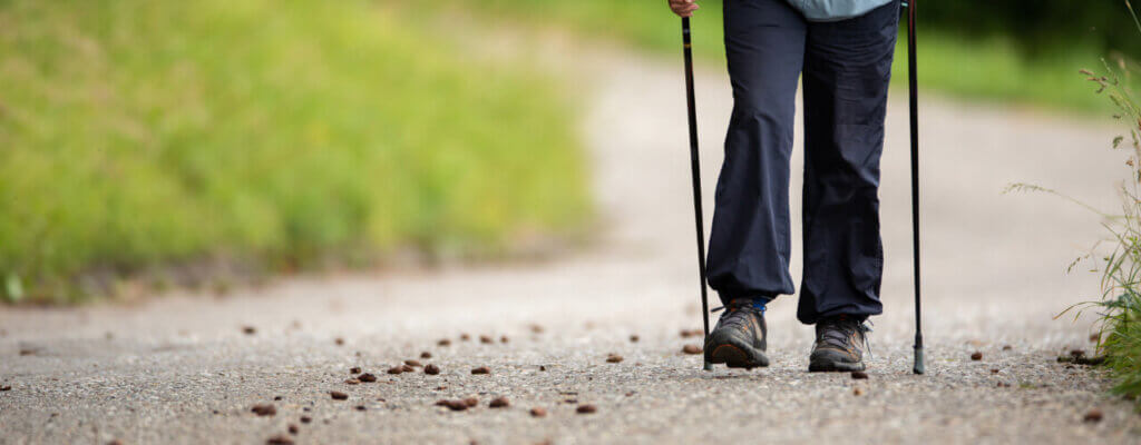 Get Moving Safely: Low-Impact Aerobic Exercises for Back Pain Relief and Fitness